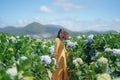 Beautiful Asian Woman in yellow dress walk in The Hydrangea Flowers Garden. Royalty Free Stock Photo