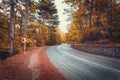 Beautiful asphalt road in autumn forest at sunrise Royalty Free Stock Photo