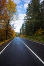 Beautiful asphalt road with yellow leaves on the trees Royalty Free Stock Photo