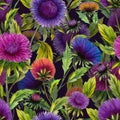 Beautiful aster flowers in different bright colors with green leaves on black background. Seamless floral pattern.