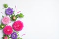 Beautiful aster flowers on white background, top view