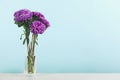 Beautiful asters in vase on table against light blue background, space for text. Autumn flowers Royalty Free Stock Photo