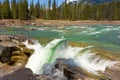 Beautiful athabaska falls at jasper national park Royalty Free Stock Photo