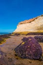 Beautiful Atlantic coastline in peninsula Valdes at low tide with alga, seashells and caves, Patagonia, Argentina