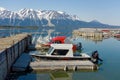 Beautiful atlin in the springtime Royalty Free Stock Photo