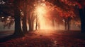 Beautiful atmospheric old park in golden autumn with sun beams between trees.