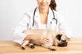 Beautiful Attractive Young Asian Veterinarian Woman using stethoscope checking up the dog pug breed for diagnosis at the veterinar Royalty Free Stock Photo