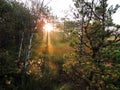 Aukstumalos swamp with sunrise colors, Lithuania