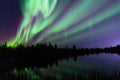 A beautiful aurora borealis near Yellowknife, Canada Royalty Free Stock Photo