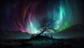 Beautiful aurora borealis in the night sky above the forest
