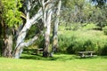 Beautiful Australian bush setting picnic area.