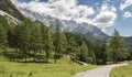 Beautiful austrian alpine landscape with a hiking trail winding in alpine meadows with trees and mountains in the background. Royalty Free Stock Photo