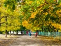 Beautiful autumn alley with colorful trees, nature seasons