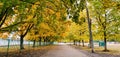 Beautiful autumn alley with colorful trees, nature seasons