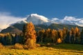 Beautiful autumn alpine landscape with a meadow, colored trees, in the background a massive mountain ridge. Royalty Free Stock Photo