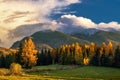 Beautiful autumn alpine landscape with a meadow, colored trees, in the background a massive mountain ridge. Royalty Free Stock Photo