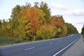 Beautiful autumn asphalt road through the forest. Highway is a road in a beautiful countryside