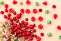 Artificial miniature apples and red rosehip berries