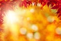 Beautiful autumn background border with fall maple leaves and golden bokeh light Royalty Free Stock Photo