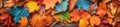 Beautiful autumn background of a colorful array of fallen leaves. Generative AI