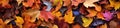 Beautiful autumn background of a colorful array of fallen leaves. Generative AI