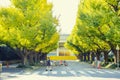 Beautiful autumn background, Ginkyo trees in meiji jingu shirine park japan Royalty Free Stock Photo