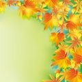 Beautiful autumn background with leaf fall Royalty Free Stock Photo