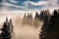 Deep fog above the valley at sunrise.