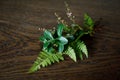 Beautiful autumn bouquet of the last green plants on a wooden surface. Lingonberry leaves, fern leaves and heather twigs. Close-up Royalty Free Stock Photo