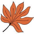 Beautiful autumn carved orange leaf, chestnut, colored doodles with a black outline