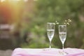 Beautiful autumn. Champagne with wildflowers outside. Photo picnic on the nature with sunlight. Celebrating life and Royalty Free Stock Photo