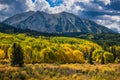 Beautiful Autumn Color in the Colorado Rocky Mountains. Backlit aspen trees with East Beckwith mountain backdrop. Kebler Pass near Royalty Free Stock Photo