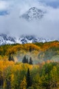 Beautiful Autumn Color in the Colorado Rocky Mountains on Kebler Pass near Crested Butte Royalty Free Stock Photo