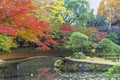 beautiful autumn color of Japan maple leaves on tree is green, yellow, orange and red discoloration and refletion on water Royalty Free Stock Photo