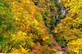 Beautiful autumn color at the Naruko Gorge Royalty Free Stock Photo