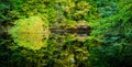 Beautiful autumn colored trees reflected in a small forest pond Royalty Free Stock Photo