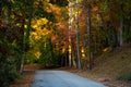 Beautiful Autumn Colors along a Road on a Sunny Day Royalty Free Stock Photo