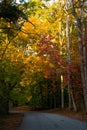 Beautiful Autumn Colors along a Road on a Sunny Day Royalty Free Stock Photo