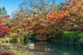 Fall foliage at gardens and Hojo-ike pond at Benten shrine. Kyoto, Japan Royalty Free Stock Photo