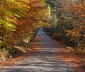 Autumn beauty on a country road Royalty Free Stock Photo
