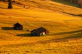 Beautiful autumn colors at the foot of the Odle Mountains in the backdrop of the Seceda Mountains in the Dolomites, Trentino Alto Royalty Free Stock Photo