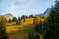 Beautiful autumn colors at the foot of the Odle Mountains in the backdrop of the Seceda Mountains in the Dolomites, Trentino Alto Royalty Free Stock Photo