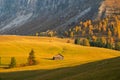 Beautiful autumn colors at the foot of the Odle Mountains in the backdrop of the Seceda Mountains in the Dolomites, Trentino Alto Royalty Free Stock Photo