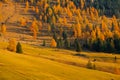 Beautiful autumn colors at the foot of the Odle Mountains in the backdrop of the Seceda Mountains in the Dolomites, Trentino Alto Royalty Free Stock Photo