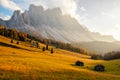 Beautiful autumn colors at the foot of the Odle Mountains in the backdrop of the Seceda Mountains at sunset in the Dolomites, Royalty Free Stock Photo