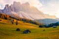 Beautiful autumn colors at the foot of the Odle Mountains in the backdrop of the Seceda Mountains at sunset in the Dolomites, Royalty Free Stock Photo