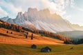 Beautiful autumn colors at the foot of the Odle Mountains in the backdrop of the Seceda Mountains at sunset in the Dolomites, Royalty Free Stock Photo