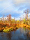 Beautiful autumn colors in northern Finland. River, marsh and rainbow