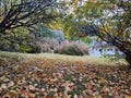 Beautiful autumn colors in Slovakia Royalty Free Stock Photo