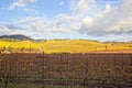 Rain clouds over beautiful yellow vineyard landscape Royalty Free Stock Photo